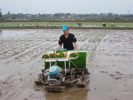 Bac Ninh rezones fields and boosts mechanization in agricultural production  - ảnh 2